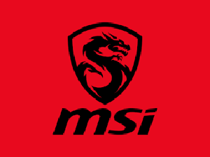 MSI