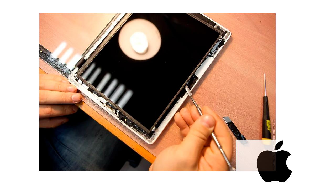 Ремонт iPad в Новосибирске